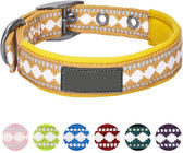 Nice Design Durable 3M Reflective Polyester Webbing Dog Collar