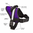 Hassle Free Chest LED Dog Harness Double Security M L XL 7 Colors Optional