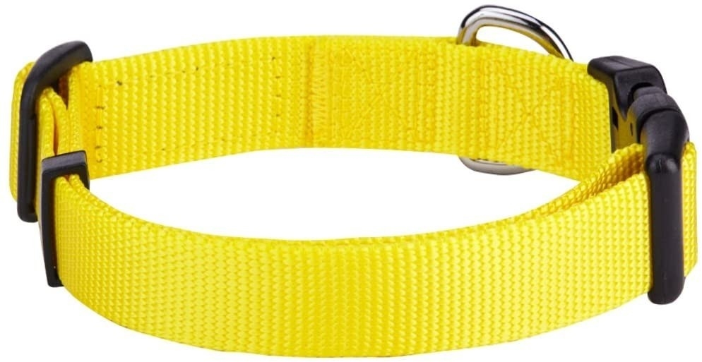 Neck 12" - 16" Soft Nylon Dog Collar Personalized Martingale Dog Collars